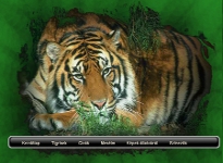 botond.m�dea.hu screenshot