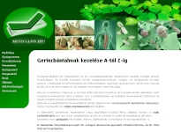 mozgass.hu screenshot